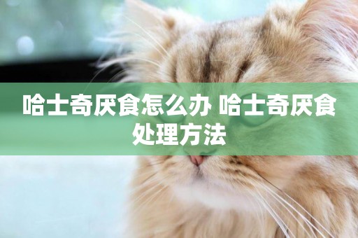哈士奇厭食怎么辦 哈士奇厭食處理方法