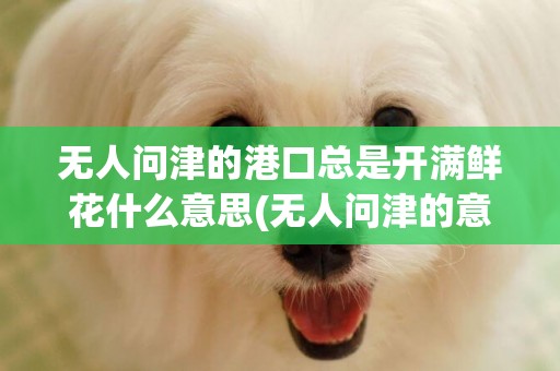 無人問津的港口總是開滿鮮花什么意思(無人問津的意思) 