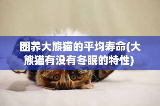 圈養大熊貓的平均壽命(大熊貓有沒有冬眠的特性) 
