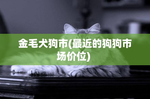 金毛犬狗市(最近的狗狗市場價位) 