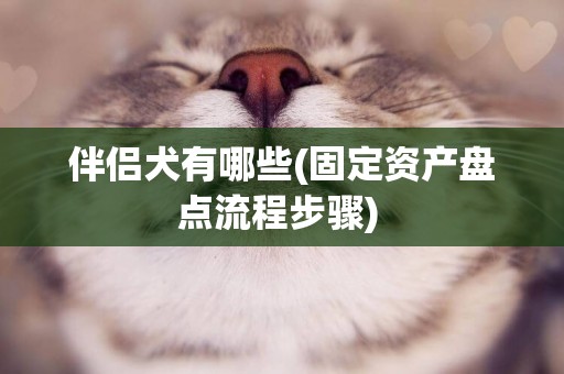 伴侶犬有哪些(固定資產盤點流程步驟) 