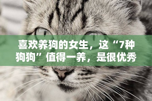 喜歡養狗的女生，這“7種狗狗”值得一養，是很優秀的伴侶犬 