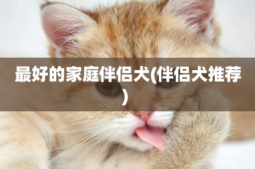 最好的家庭伴侶犬(伴侶犬推薦) 