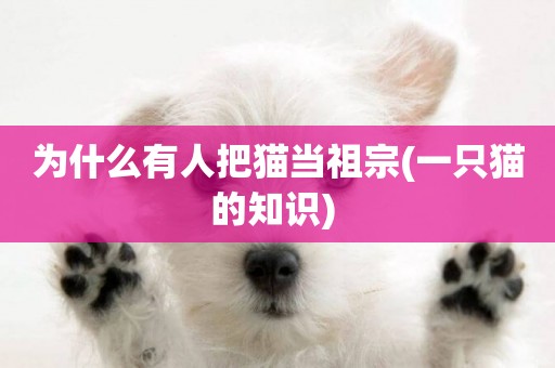 為什么有人把貓當祖宗(一只貓的知識) 