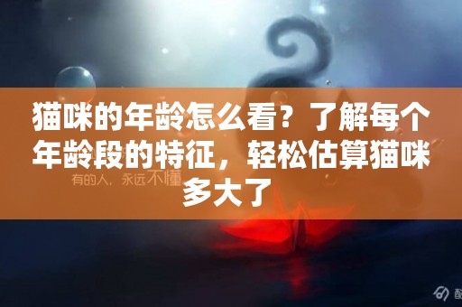 貓咪的年齡怎么看？了解每個年齡段的特征，輕松估算貓咪多大了 