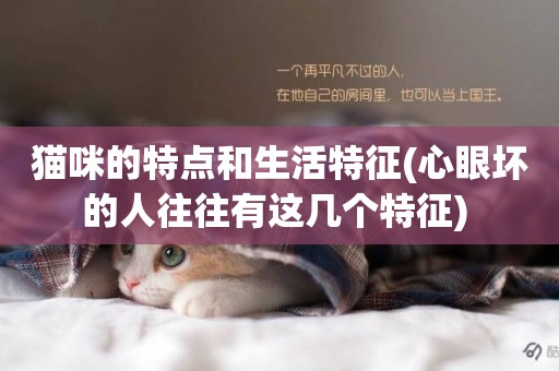 貓咪的特點和生活特征(心眼壞的人往往有這幾個特征) 