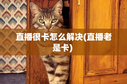 直播很卡怎么解決(直播老是卡) 