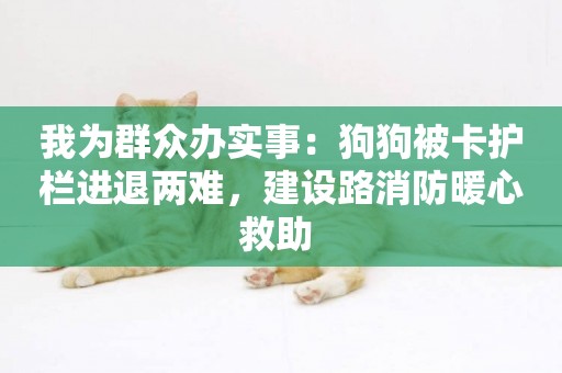 我為群眾辦實事：狗狗被卡護欄進退兩難，建設路消防暖心救助 