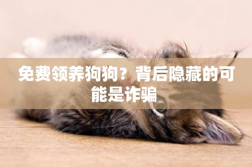 免費領養狗狗？背后隱藏的可能是詐騙 