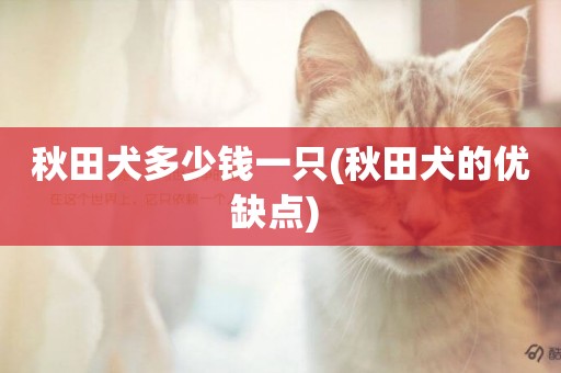 秋田犬多少錢一只(秋田犬的優缺點) 
