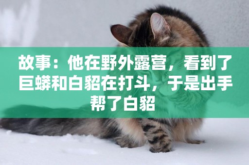 故事：他在野外露營，看到了巨蟒和白貂在打斗，于是出手幫了白貂 