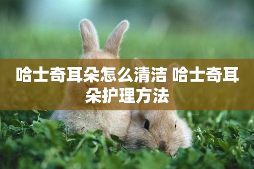 哈士奇耳朵怎么清潔 哈士奇耳朵護理方法
