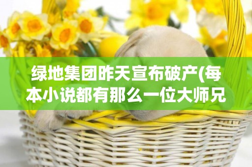 綠地集團昨天宣布破產(每本小說都有那么一位大師兄) 