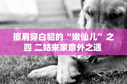 擦肩穿白貂的“嫩仙兒”之四 二姑來家意外之遇 