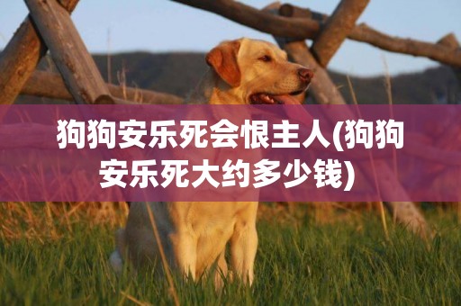 狗狗安樂死會恨主人(狗狗安樂死大約多少錢) 