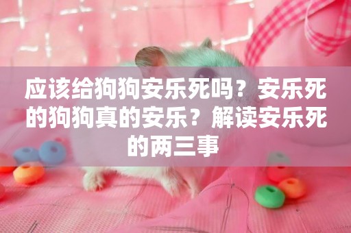 應該給狗狗安樂死嗎？安樂死的狗狗真的安樂？解讀安樂死的兩三事 