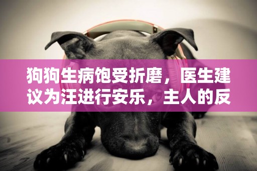 狗狗生病飽受折磨，醫生建議為汪進行安樂，主人的反應讓人心疼 