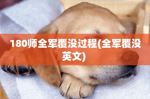 180師全軍覆沒過程(全軍覆沒英文) 