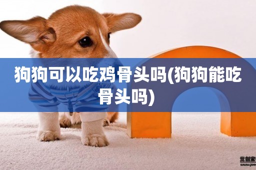 狗狗可以吃雞骨頭嗎(狗狗能吃骨頭嗎) 