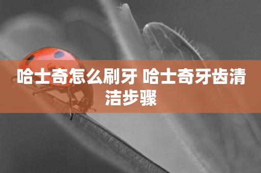 哈士奇怎么刷牙 哈士奇牙齒清潔步驟