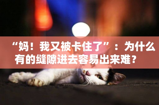 “媽！我又被卡住了”：為什么有的縫隙進去容易出來難？ 