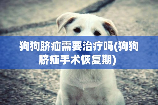 狗狗臍疝需要治療嗎(狗狗臍疝手術恢復期) 