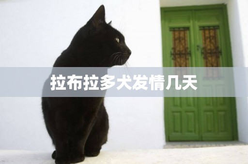 拉布拉多犬發情幾天