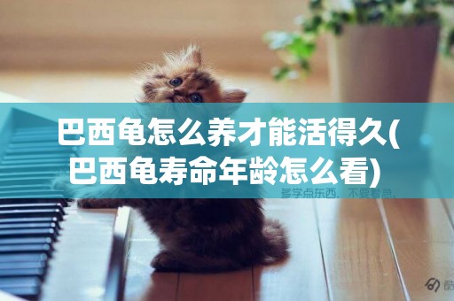 巴西龜怎么養才能活得久(巴西龜壽命年齡怎么看) 