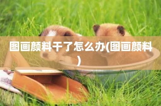 圖畫顏料干了怎么辦(圖畫顏料) 
