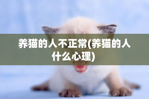 養貓的人不正常(養貓的人什么心理) 