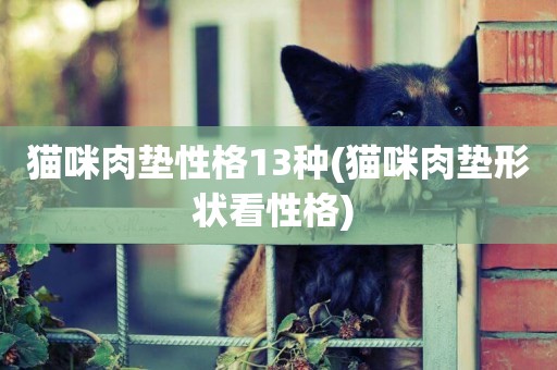 貓咪肉墊性格13種(貓咪肉墊形狀看性格) 