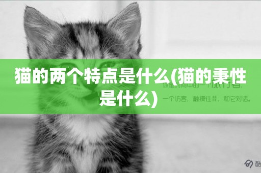 貓的兩個特點是什么(貓的秉性是什么) 