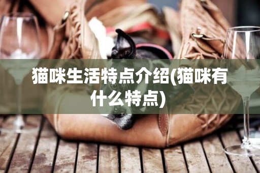 貓咪生活特點介紹(貓咪有什么特點) 