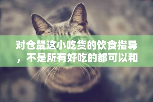 對倉鼠這小吃貨的飲食指導，不是所有好吃的都可以和它們分享的哦 