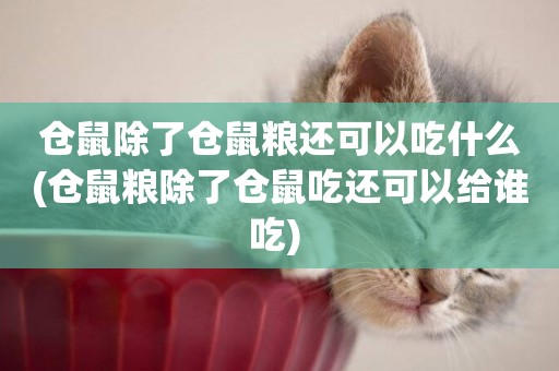 倉鼠除了倉鼠糧還可以吃什么(倉鼠糧除了倉鼠吃還可以給誰吃) 