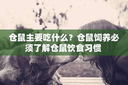 倉鼠主要吃什么？倉鼠飼養必須了解倉鼠飲食習慣 