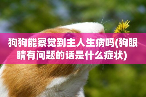 狗狗能察覺到主人生病嗎(狗眼睛有問題的話是什么癥狀) 