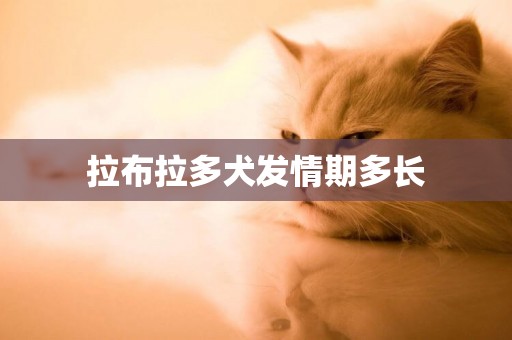 拉布拉多犬發情期多長