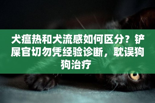 犬瘟熱和犬流感如何區分？鏟屎官切勿憑經驗診斷，耽誤狗狗治療 
