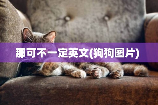 那可不一定英文(狗狗圖片) 