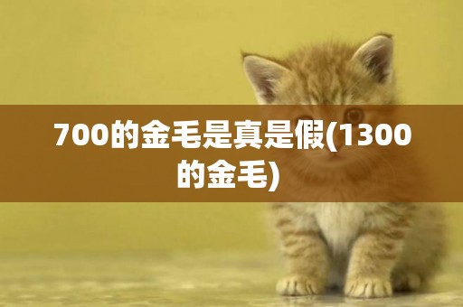 700的金毛是真是假(1300的金毛) 