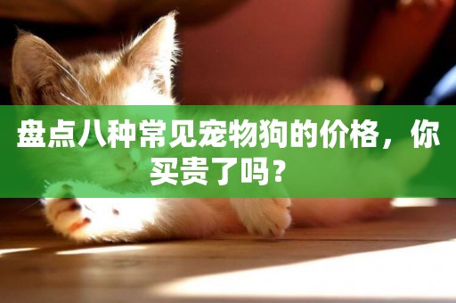 盤點八種常見寵物狗的價格，你買貴了嗎？ 