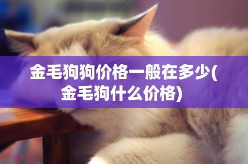 金毛狗狗價格一般在多少(金毛狗什么價格) 