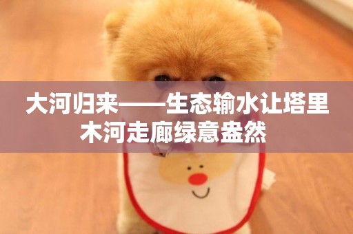 大河歸來——生態輸水讓塔里木河走廊綠意盎然 
