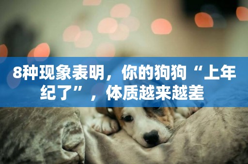 8種現象表明，你的狗狗“上年紀了”，體質越來越差 