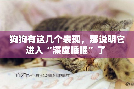 狗狗有這幾個表現，那說明它進入“深度睡眠”了 