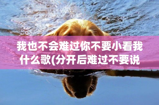 我也不會難過你不要小看我什么歌(分開后難過不要說誰沒誰不能好好過) 