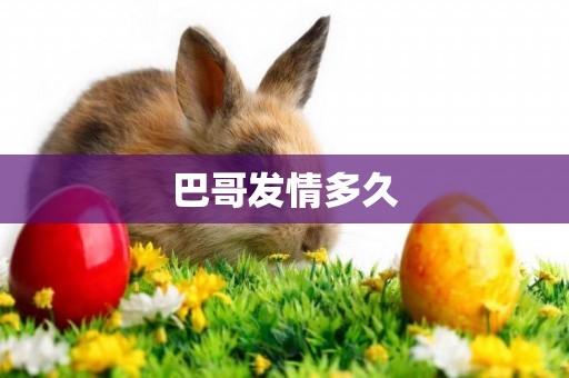 巴哥發情多久