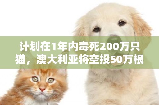 計劃在1年內毒死200萬只貓，澳大利亞將空投50萬根美味毒香腸 