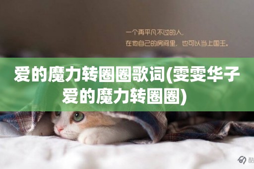 愛的魔力轉圈圈歌詞(雯雯華子愛的魔力轉圈圈) 